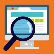 wordpress custom vs theme website