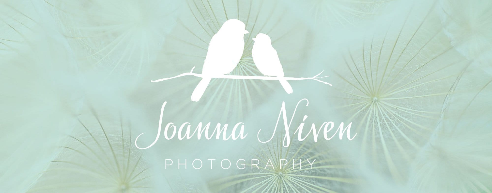 Brand Identity for JoAnna Niven Photography by Tingalls