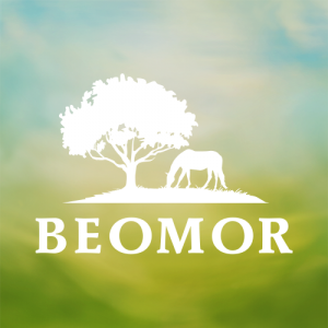 beomor farm logo design