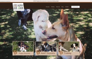 Squarespace website design by Tingalls for The Dog Den and The Puppy Den Daycare services