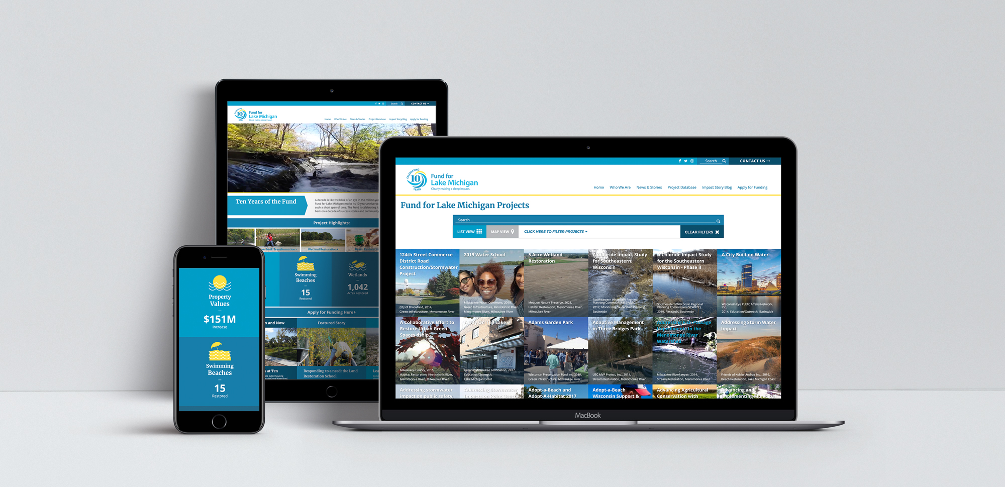 Fund for Lake Michigan Website Mock up
