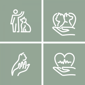 Set of four icons for a veterinary clinic