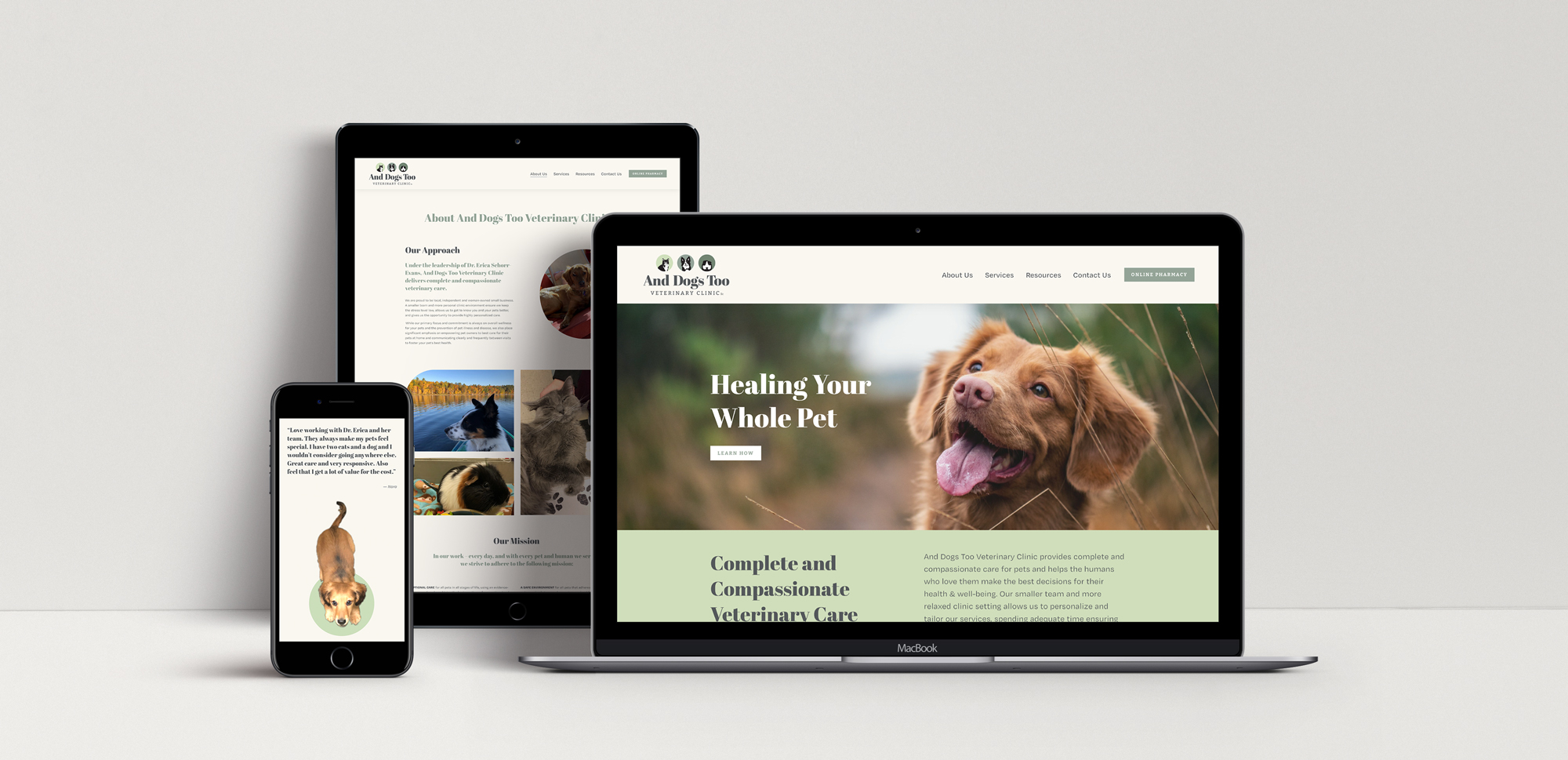 And Dogs Too Veterinary squarespace website design