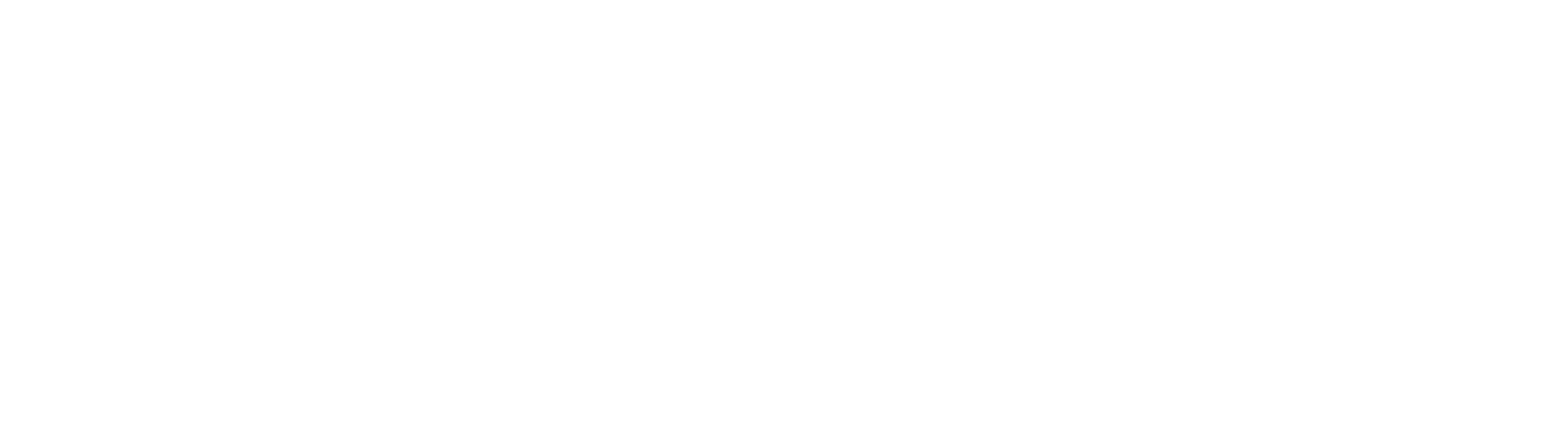 sanford enterprises logo