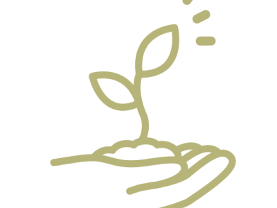 hand holding a plant icon representing growth