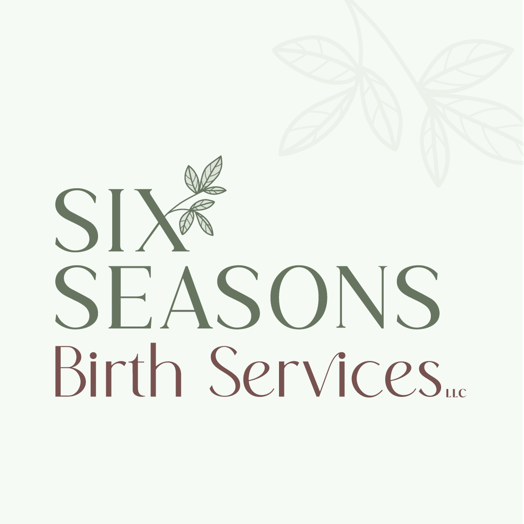 Six Seasons Logo Design